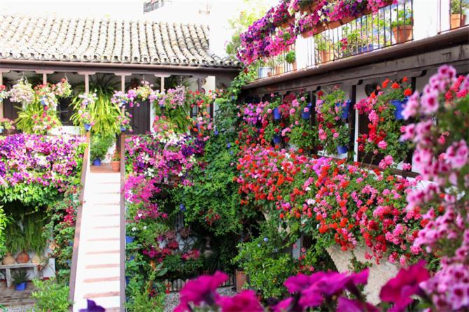 Apartamentos Los Patios De San Agustin Кордова Экстерьер фото